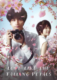 Tình Yêu Như Cánh Hoa Rơi | Love Like the Falling Petals (2022)